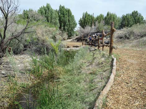 Swimming Pool Trail