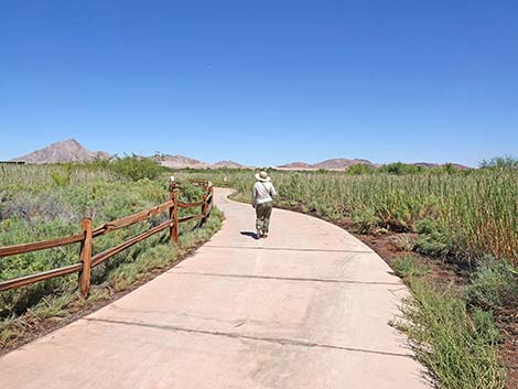 Duck Creek Trails