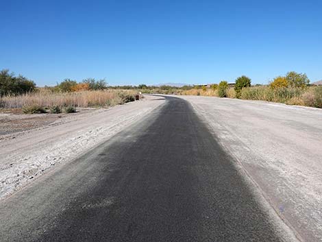 Dragonfly Divide Trail