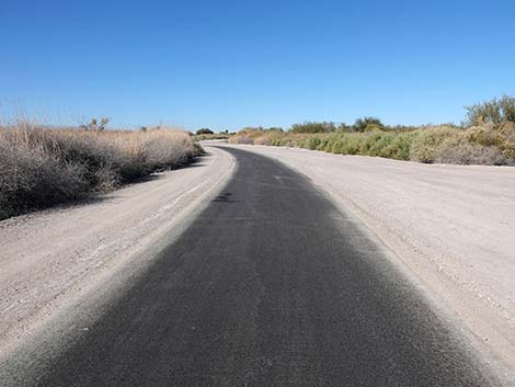 Dragonfly Divide Trail