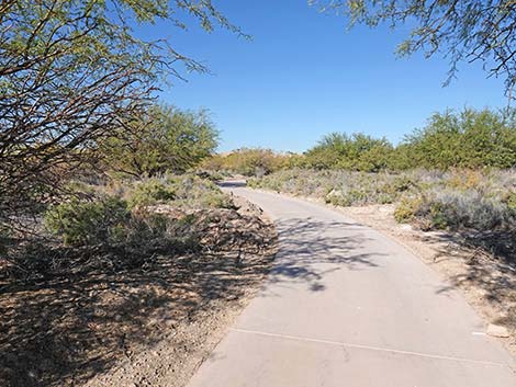 Quail Run Trail