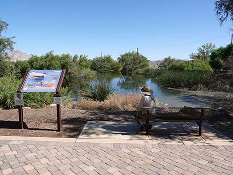 Henderson Bird Viewing Preserve