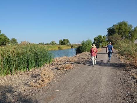 Henderson Bird Viewing Preserve