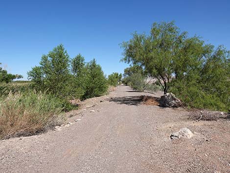 Henderson Bird Viewing Preserve