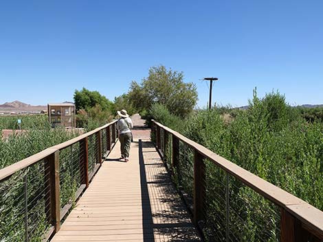 Henderson Bird Viewing Preserve