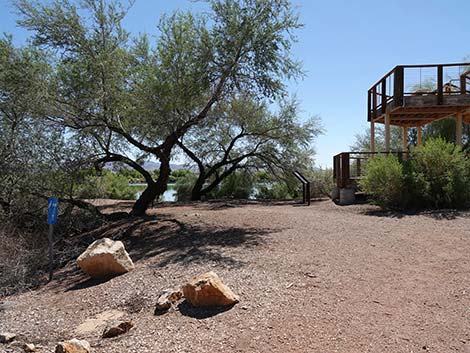 Henderson Bird Viewing Preserve