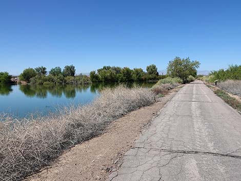 Henderson Bird Viewing Preserve