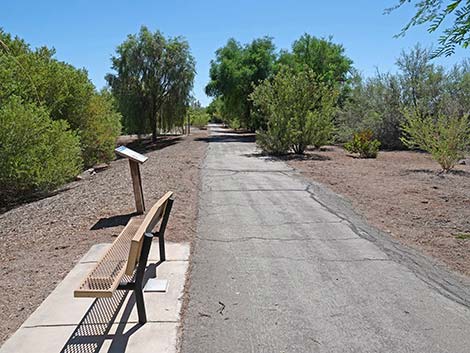 Henderson Bird Viewing Preserve