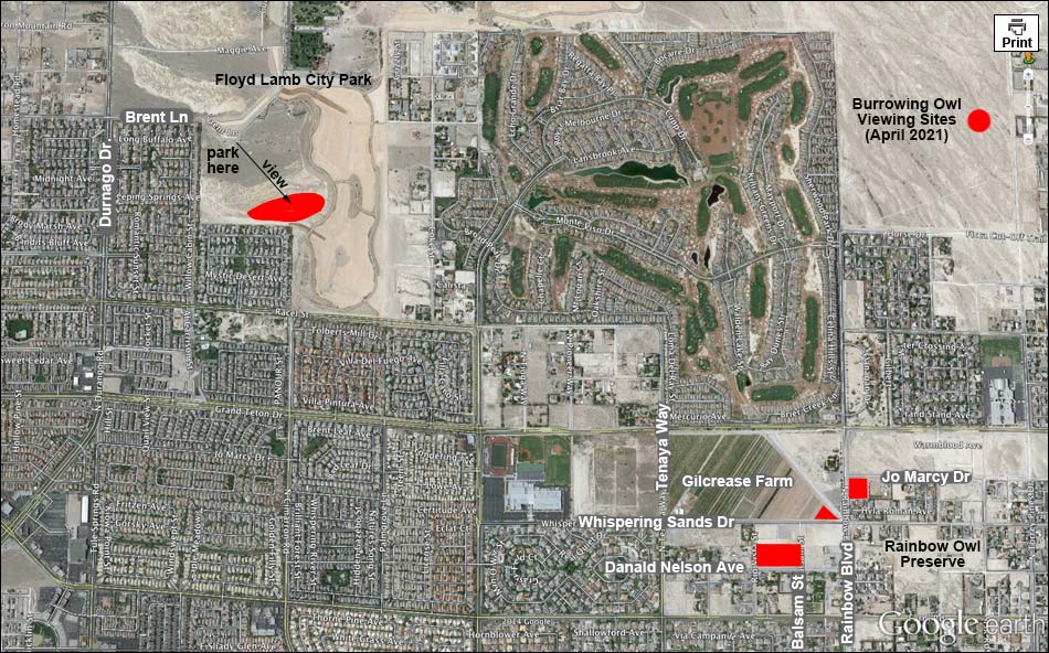 Burrowing Owl Map