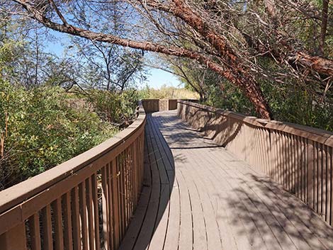 Clark County Wetlands Park