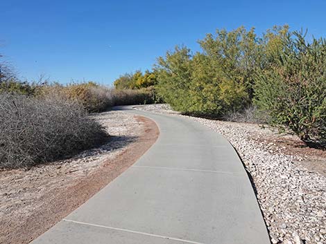 Clark County Wetlands Park