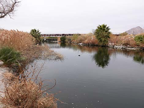 Clark County Wetlands