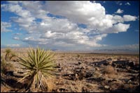 Mojave Desert Clouds