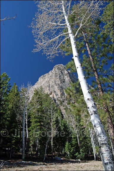 Cathedral Rock