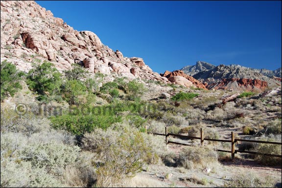 Calico Basin