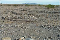 Desert Pavement Coarse 1