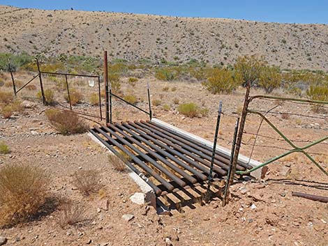 cattle guard