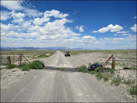 Cattle Guard