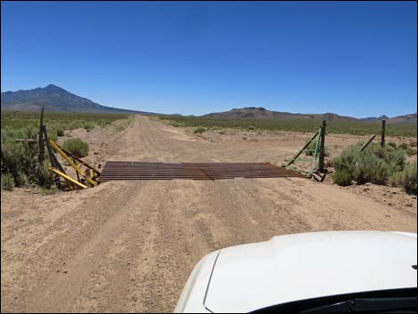 Cattle Guard