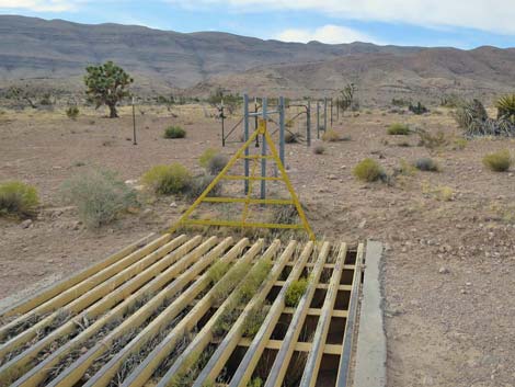 Cattle Guard