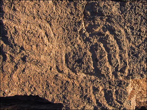 Arrow Canyon Wilderness Area