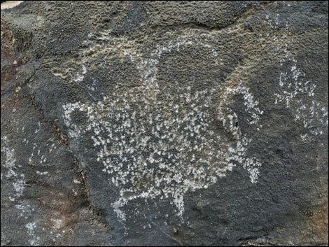 Arrow Canyon Wilderness Area