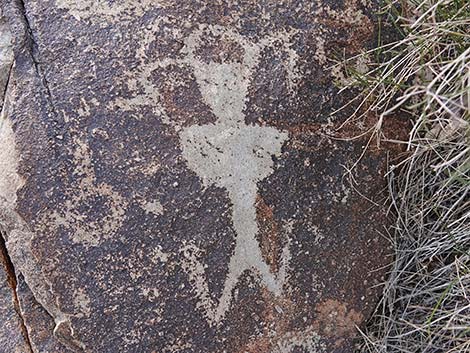 grapevine canyon