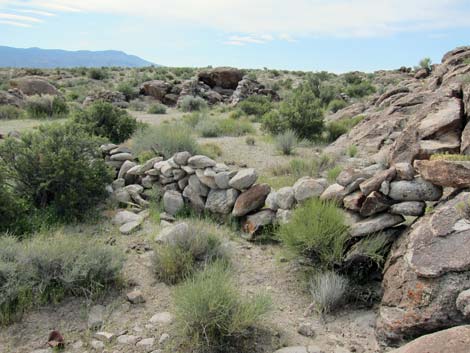 Crystal Wash Shepherd Camp