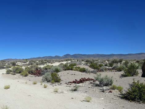 Crystal Wash Shepherd Camp