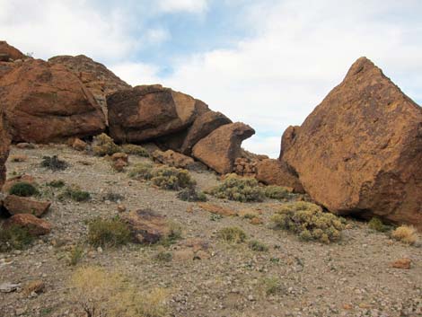 Mojave National Preserve