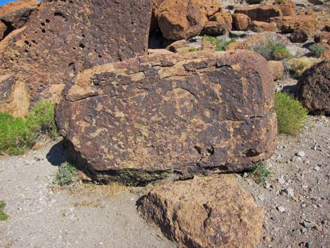 Mojave National Preserve