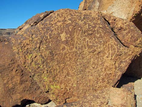 Mojave National Preserve