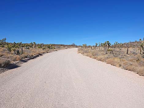 Grasslands Trail