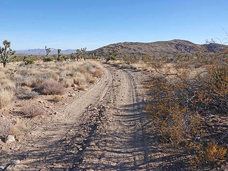 Grasslands Trail