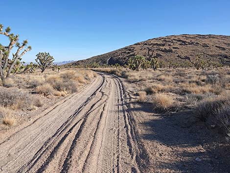 Grasslands Trail