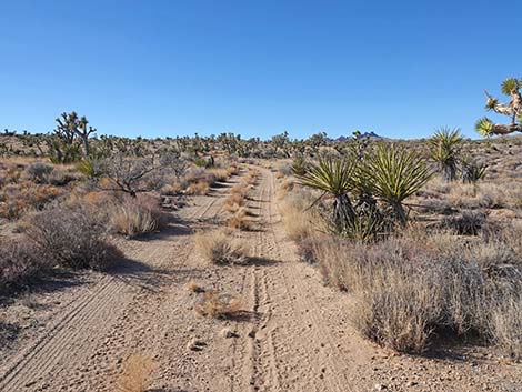 Grasslands Trail