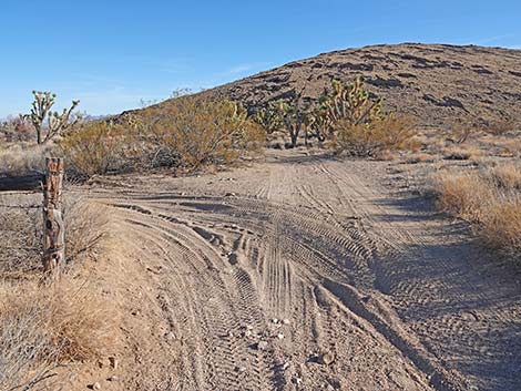 Grasslands Trail