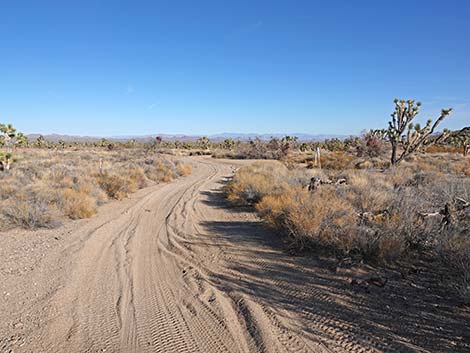 Grasslands Trail