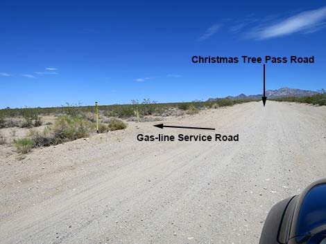 Christmas Tree Pass Road