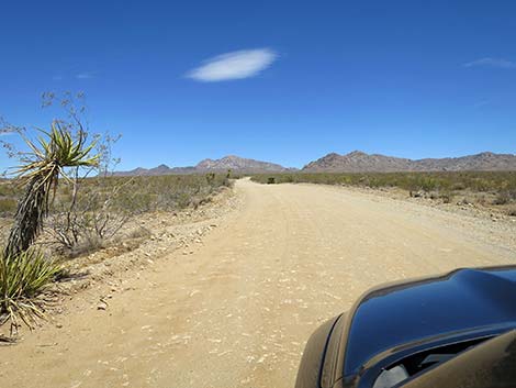 Christmas Tree Pass Road