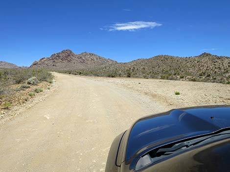 Christmas Tree Pass Road