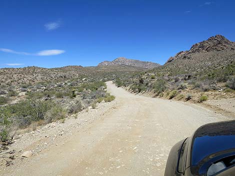 Christmas Tree Pass Road