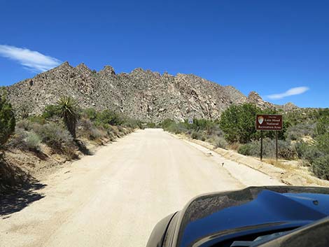 Christmas Tree Pass Road