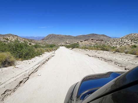 Christmas Tree Pass Road