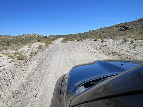 Christmas Tree Pass Road