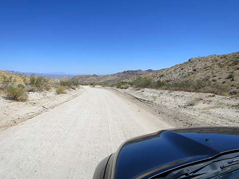 Christmas Tree Pass Road