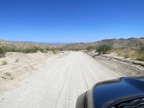 Christmas Tree Pass Road