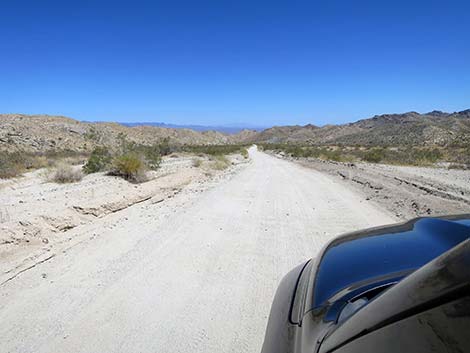 Christmas Tree Pass Road