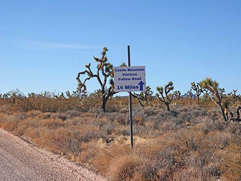 Walking Box Ranch Road