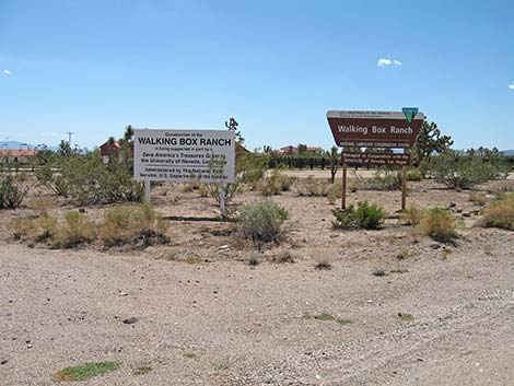 Walking Box Ranch